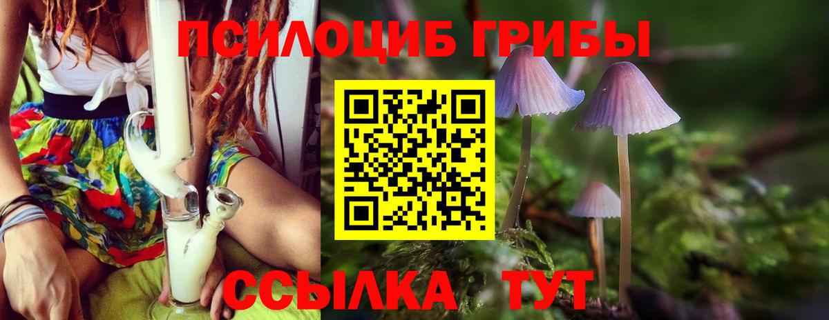 Галлюциногенные грибы GOLDEN TEACHER Новый Уренгой