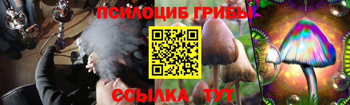 Новый Уренгой  Галлюциногенные грибы мухоморы  Вход с VPN 